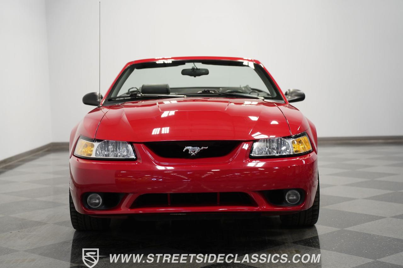 1999 Ford Mustang SVT Cobra Convertible