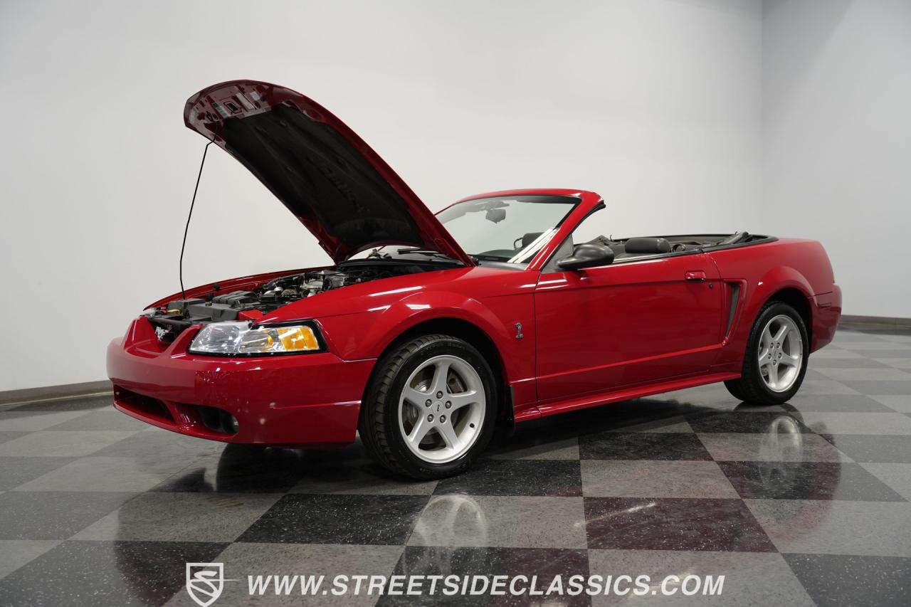 1999 Ford Mustang SVT Cobra Convertible