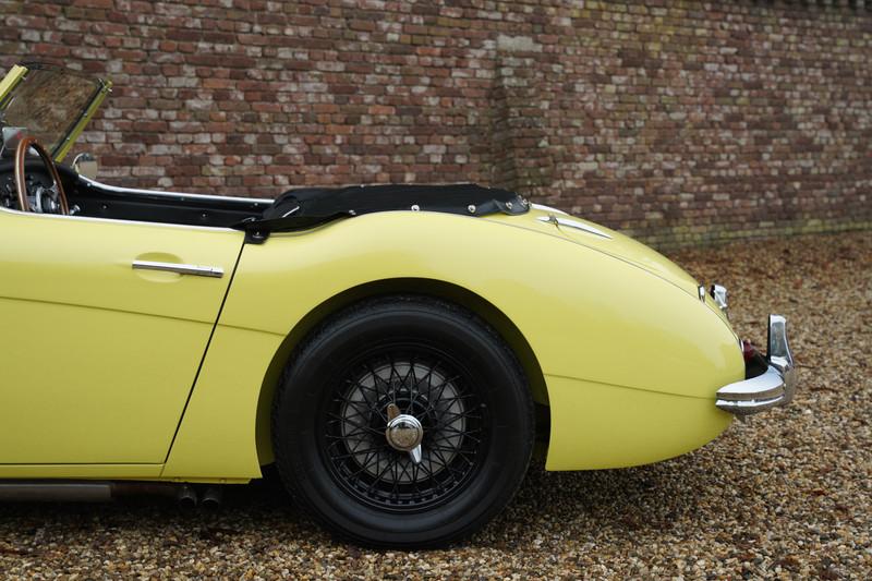 1960 Austin - Healey 3000 MK1 BT7