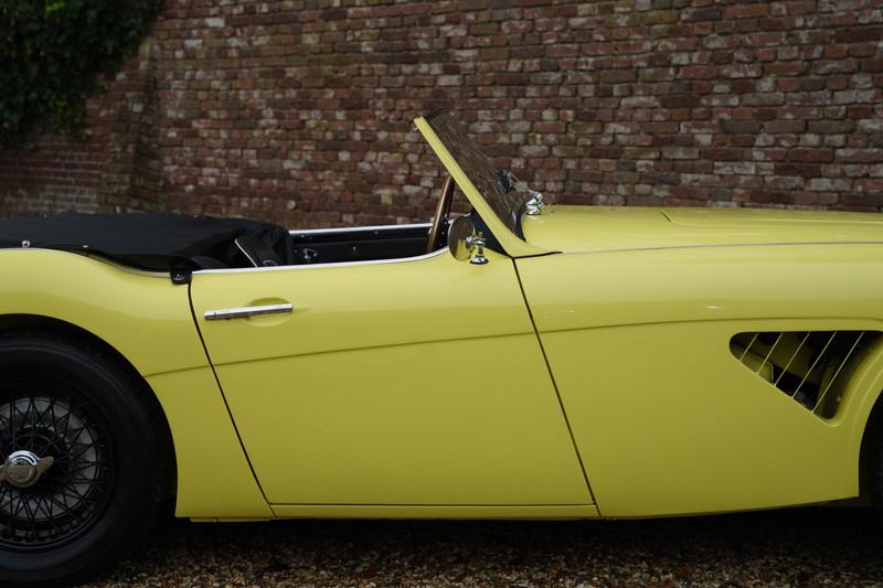 1960 Austin - Healey 3000 MK1 BT7