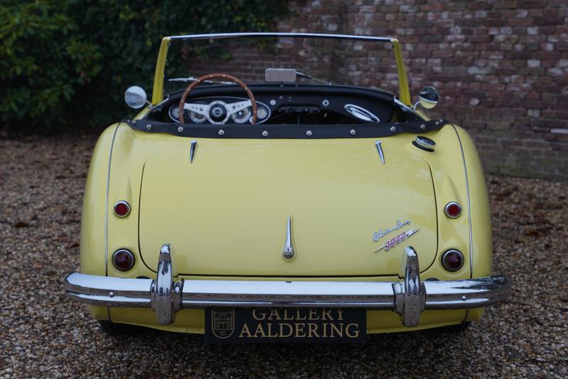 1960 Austin - Healey 3000 MK1 BT7