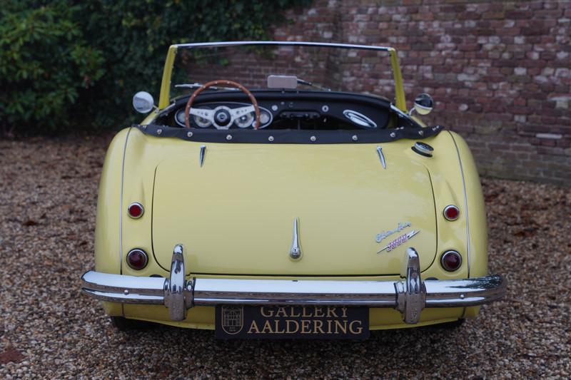 1960 Austin - Healey 3000 MK1 BT7