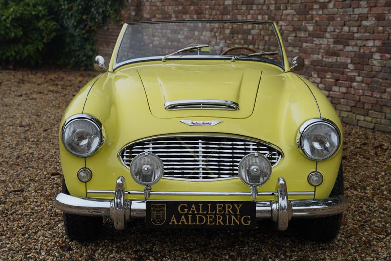 1960 Austin - Healey 3000 MK1 BT7