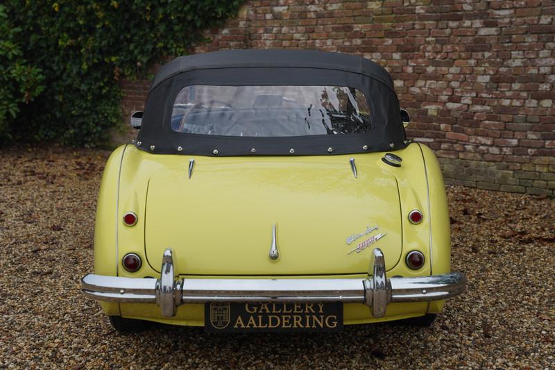 1960 Austin - Healey 3000 MK1 BT7