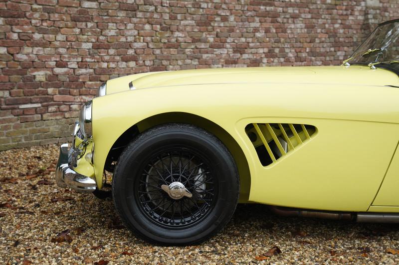 1960 Austin - Healey 3000 MK1 BT7