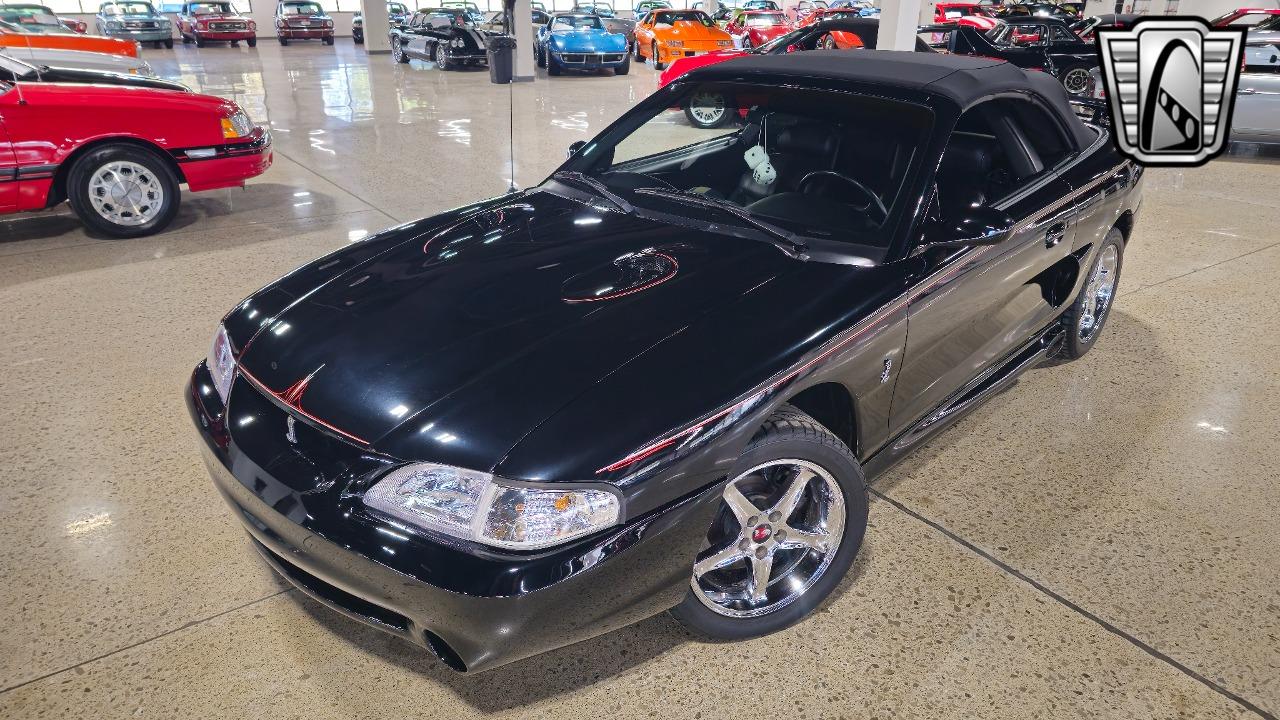 1996 Ford Mustang SVT Cobra