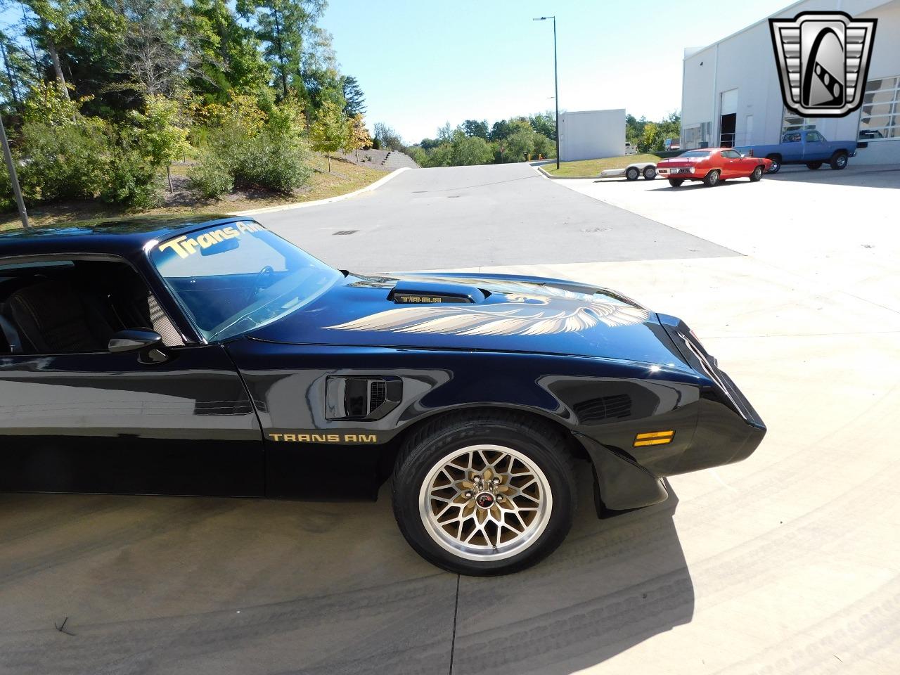 1981 Pontiac Trans Am