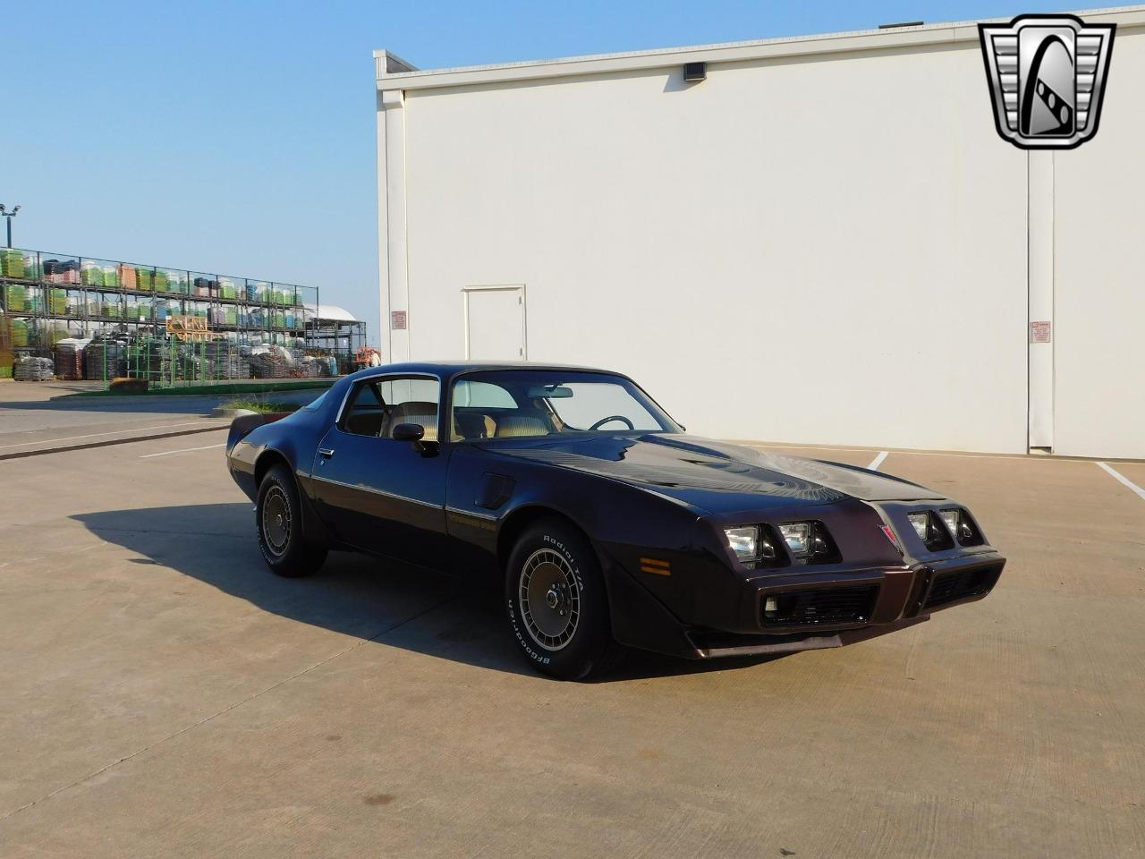 1981 Pontiac Firebird