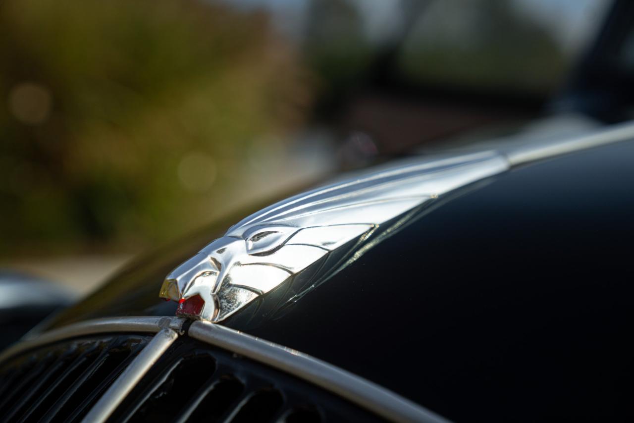 1949 Peugeot 202