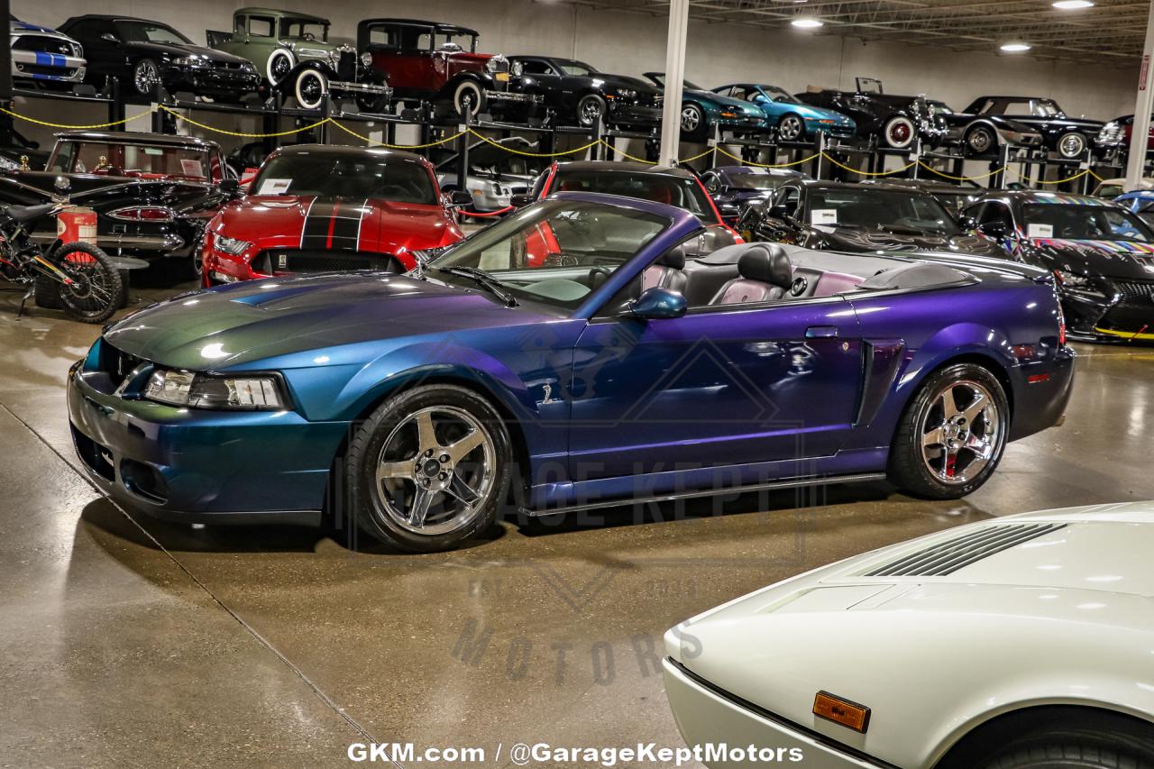 2004 Ford Mustang Cobra SVT