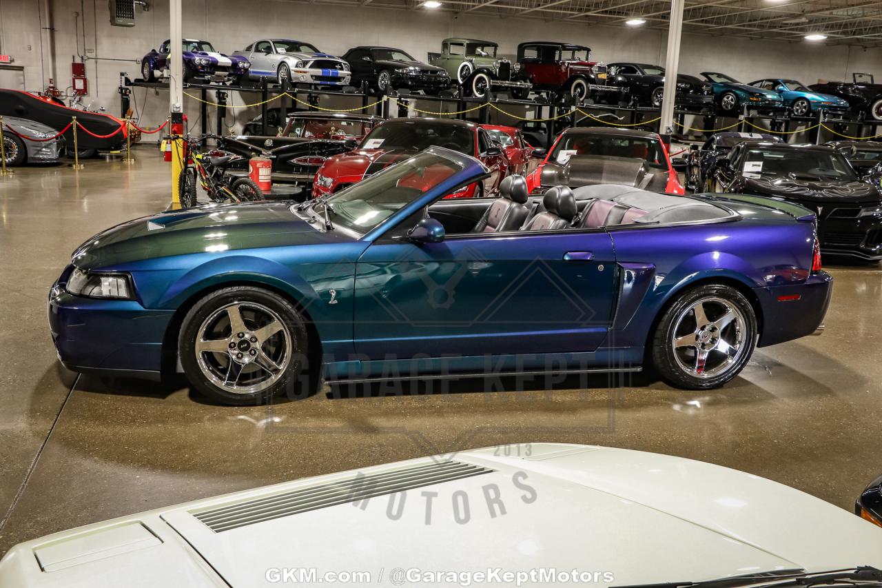 2004 Ford Mustang Cobra SVT