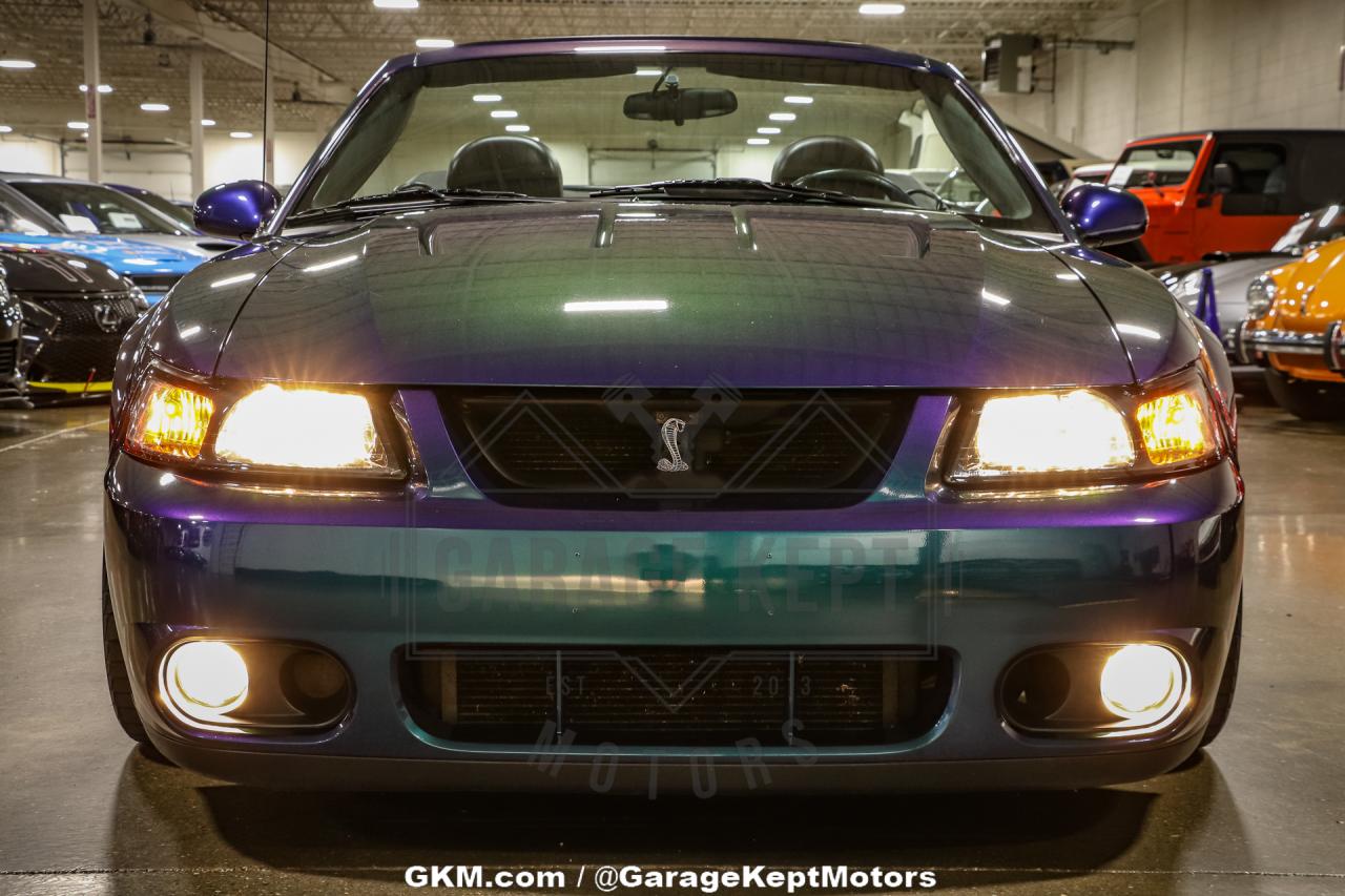 2004 Ford Mustang Cobra SVT