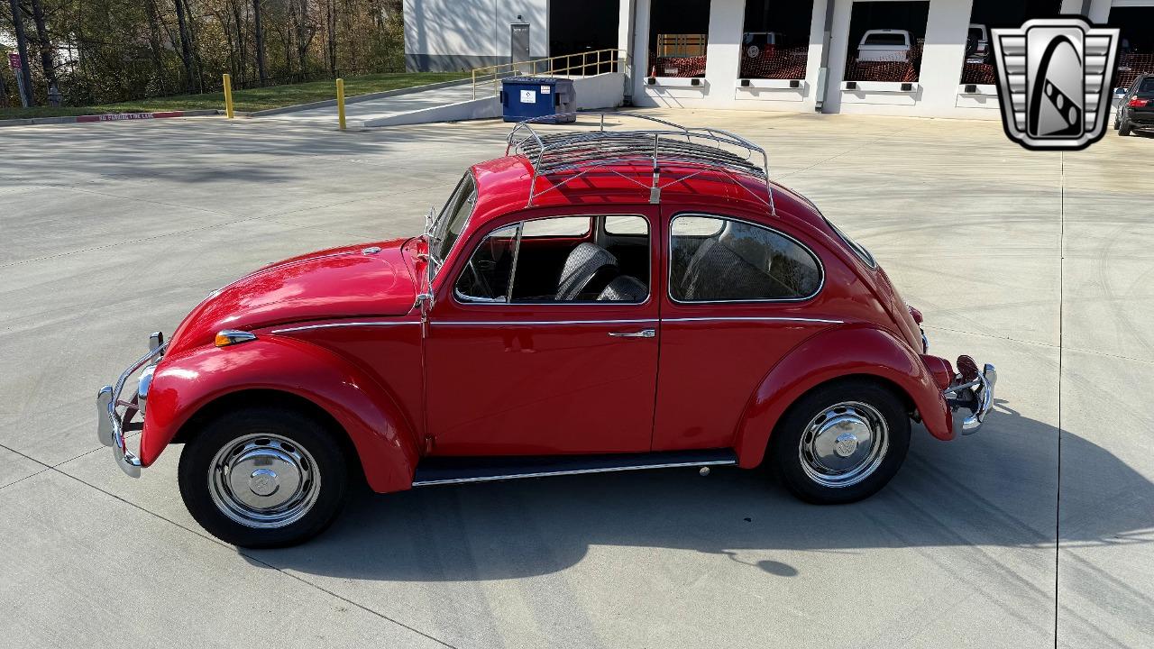 1967 Volkswagen Beetle