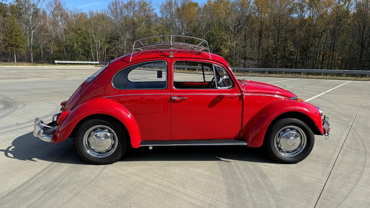 1967 Volkswagen Beetle