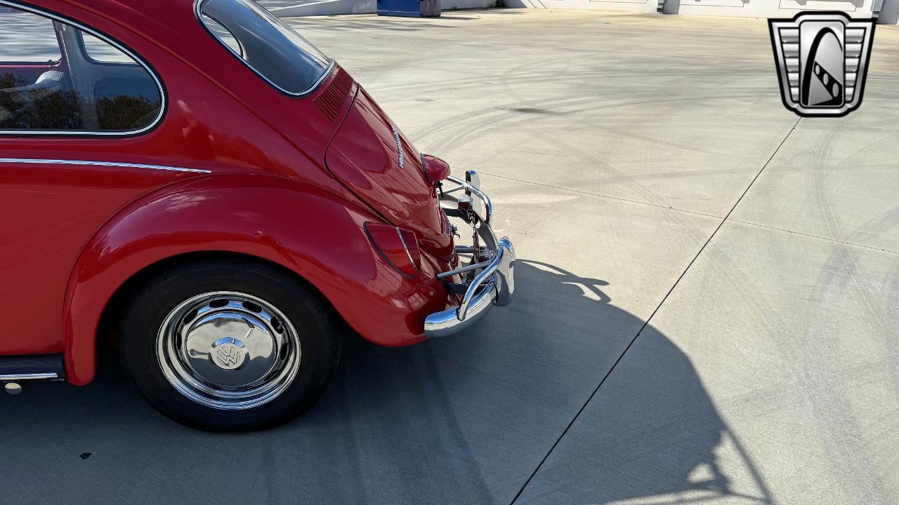 1967 Volkswagen Beetle