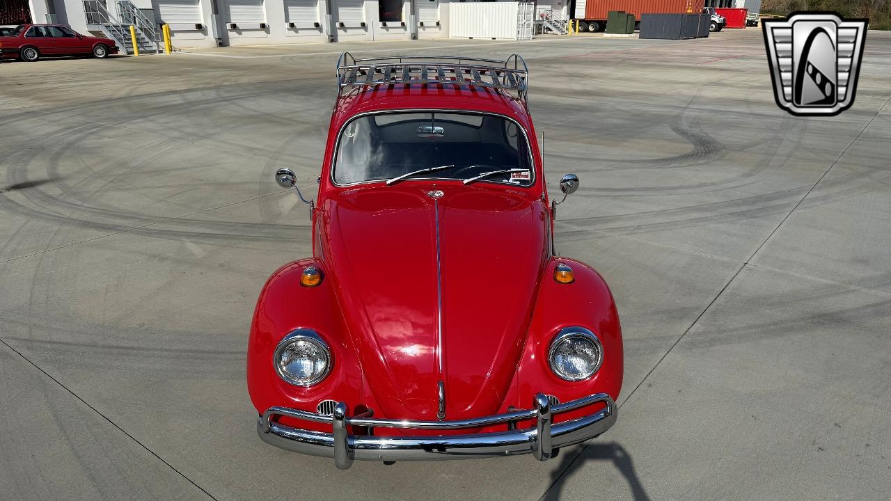 1967 Volkswagen Beetle