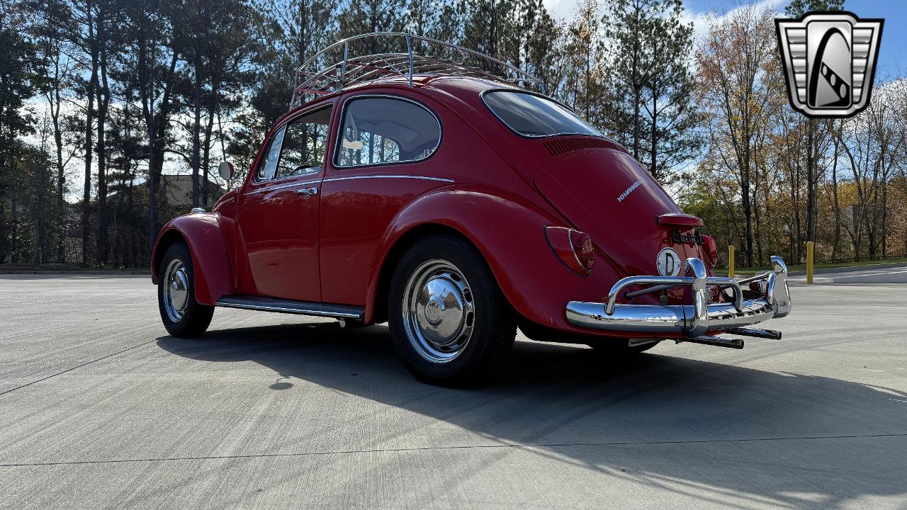 1967 Volkswagen Beetle