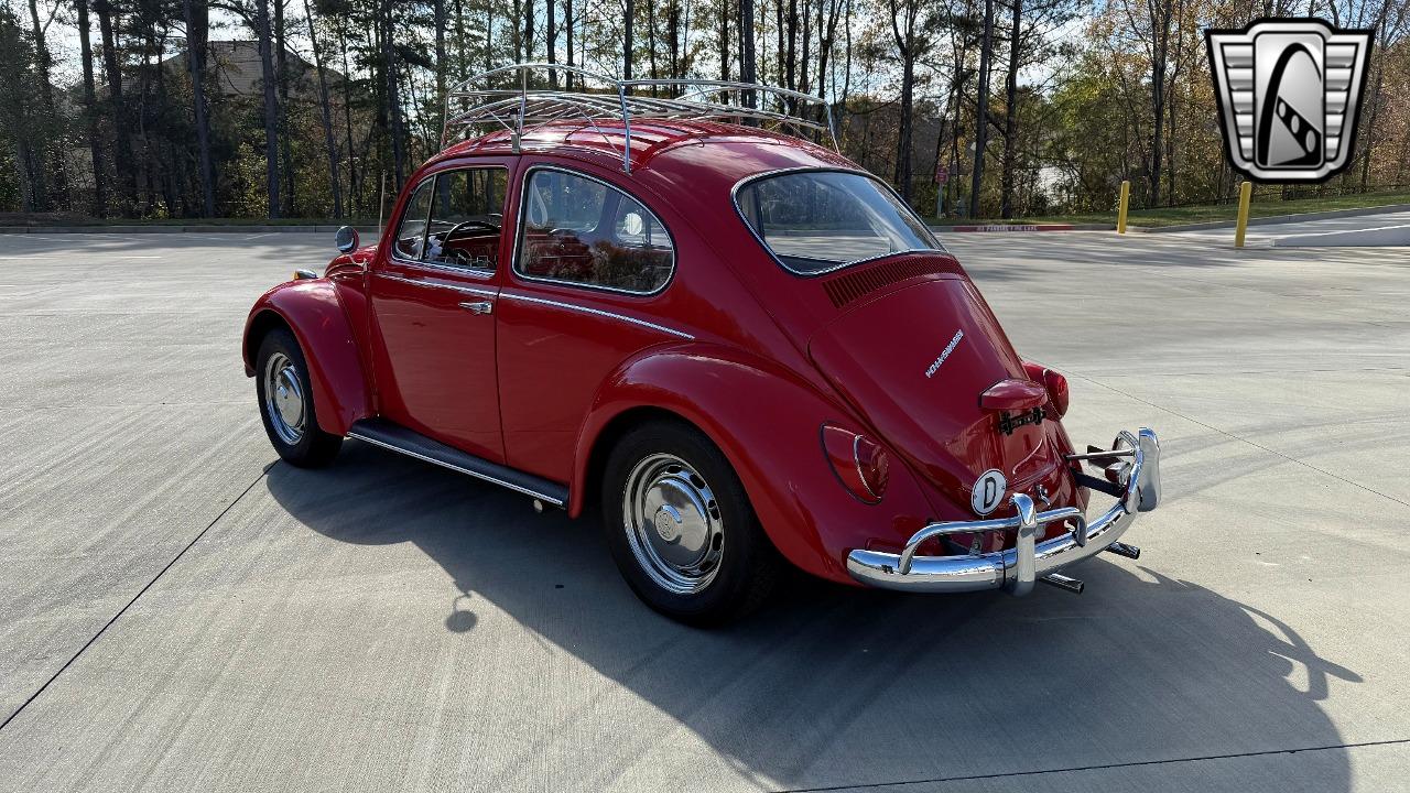 1967 Volkswagen Beetle