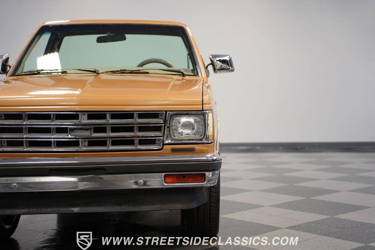 1984 Chevrolet S10