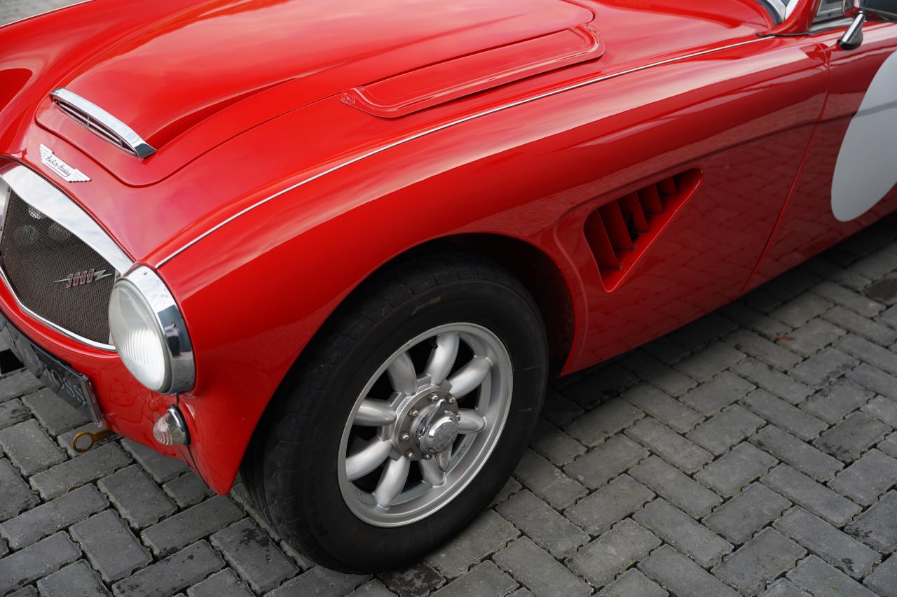 1959 Austin - Healey 3000 Mk1 BN7