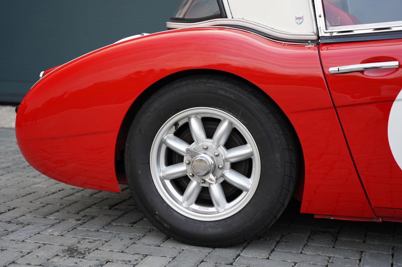 1959 Austin - Healey 3000 Mk1 BN7