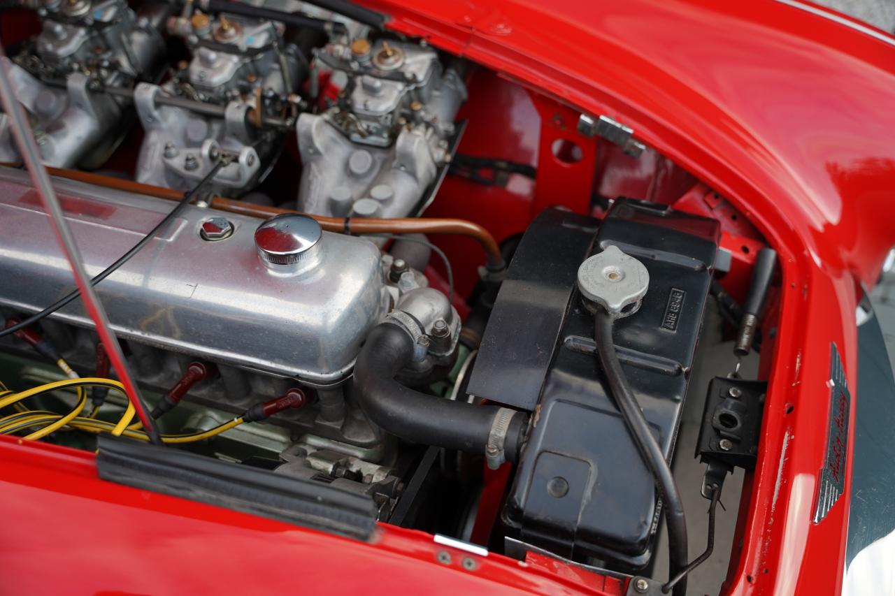 1959 Austin - Healey 3000 Mk1 BN7