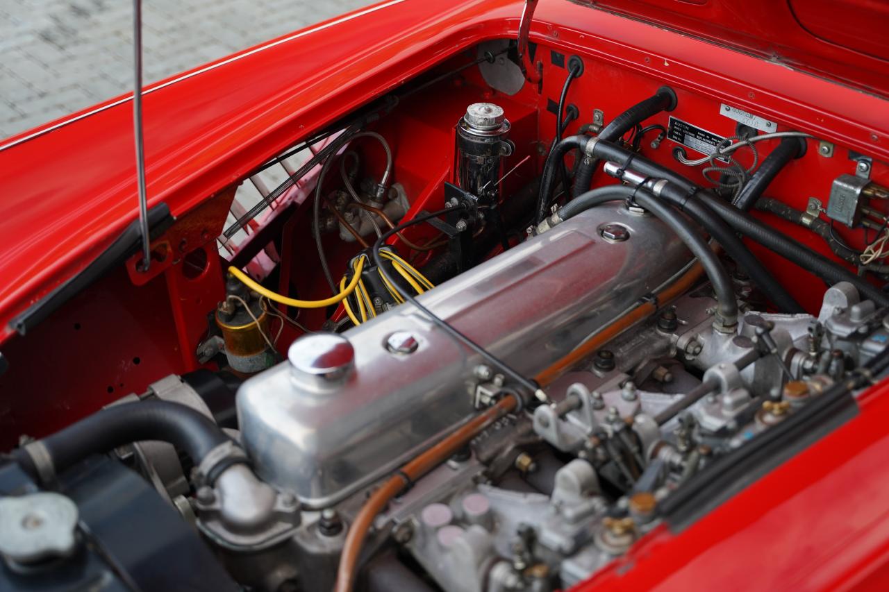 1959 Austin - Healey 3000 Mk1 BN7