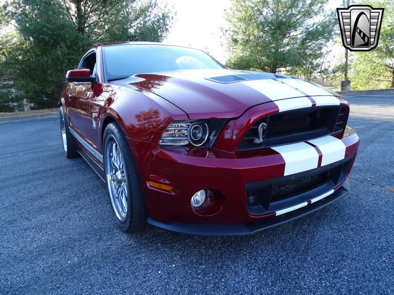 2014 Ford Shelby GT500