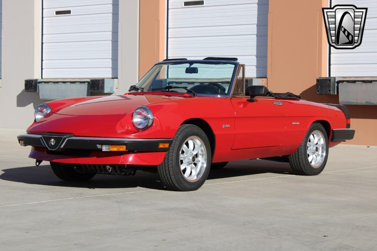 1988 Alfa Romeo Spider