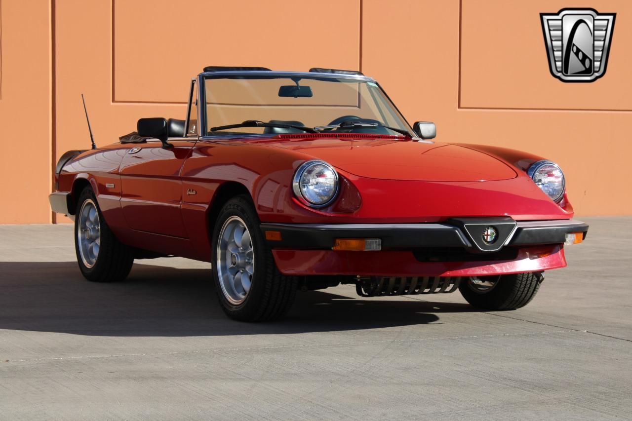 1988 Alfa Romeo Spider