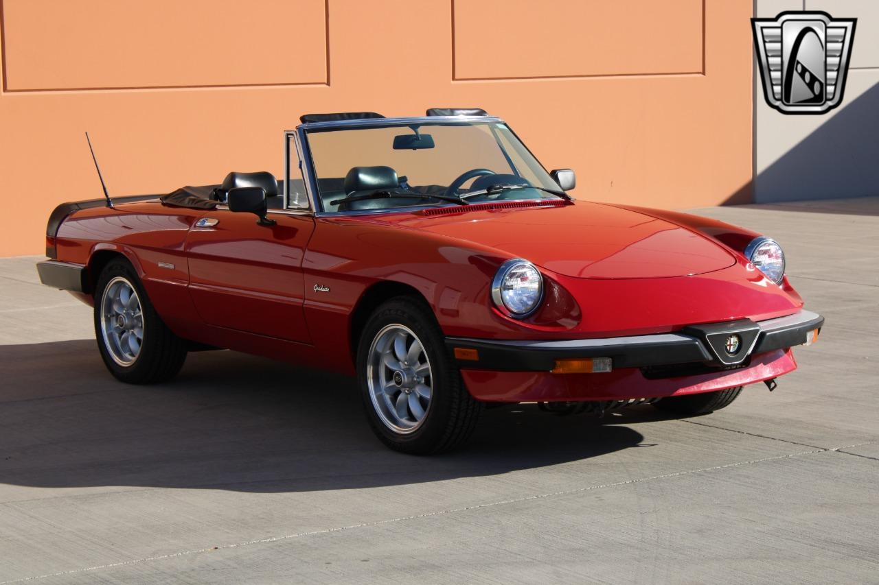 1988 Alfa Romeo Spider