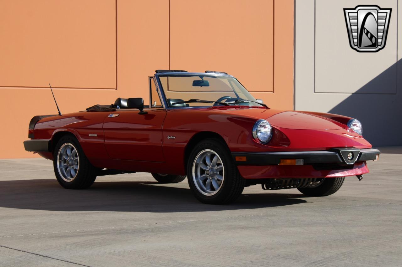 1988 Alfa Romeo Spider