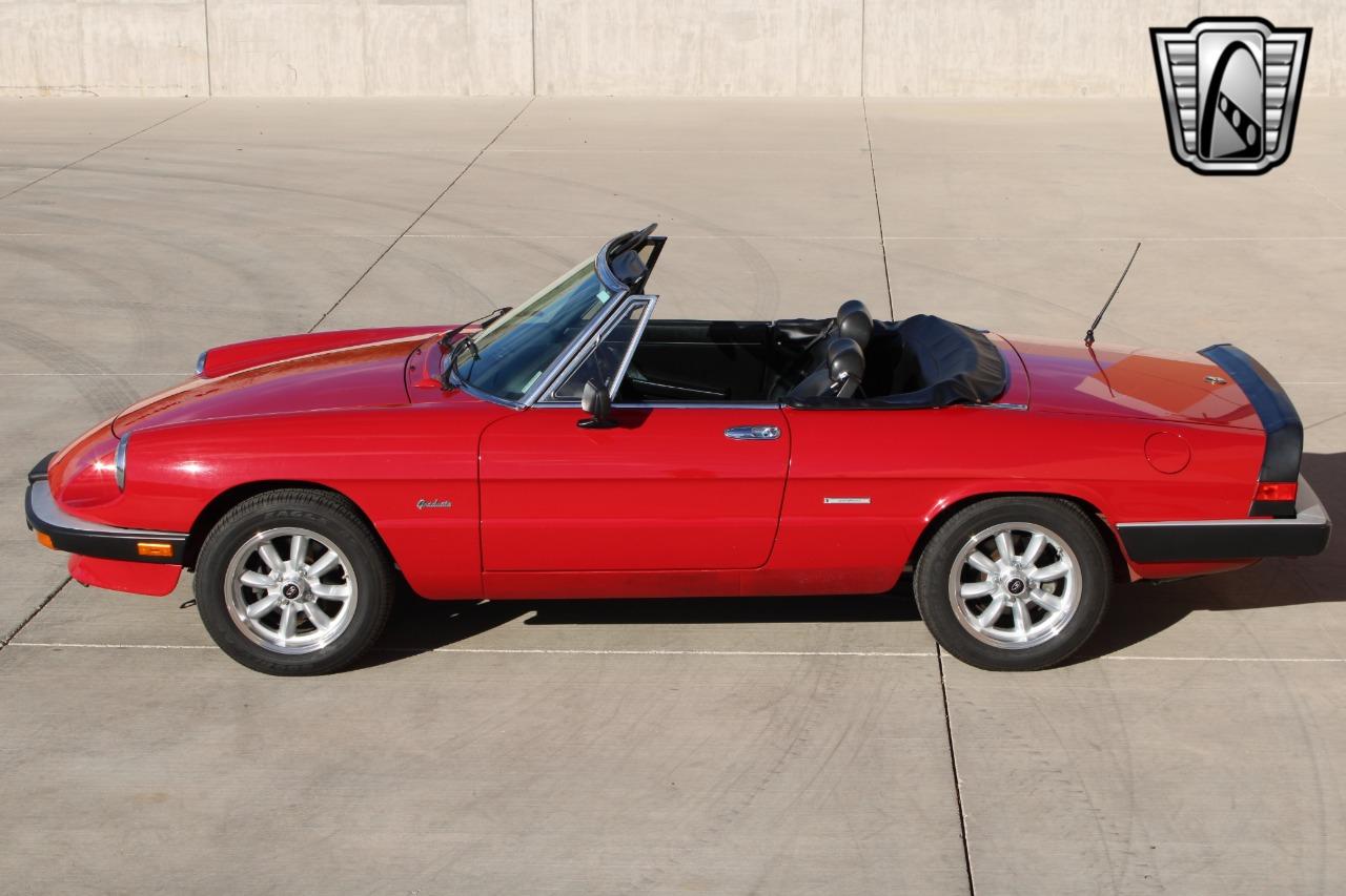 1988 Alfa Romeo Spider