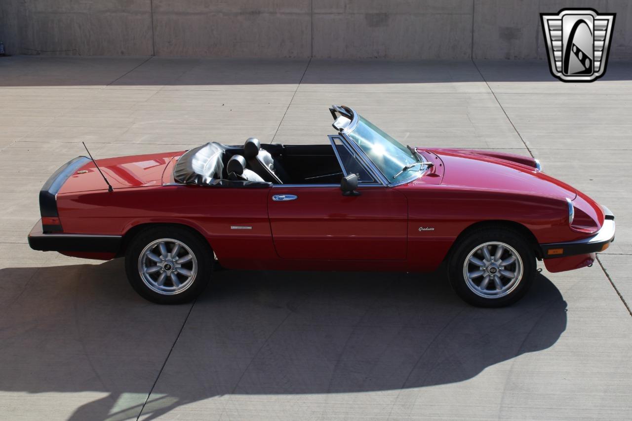 1988 Alfa Romeo Spider