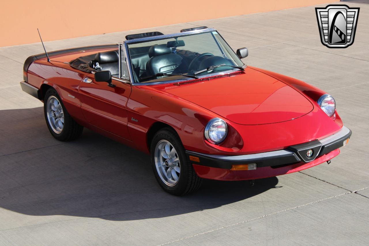 1988 Alfa Romeo Spider