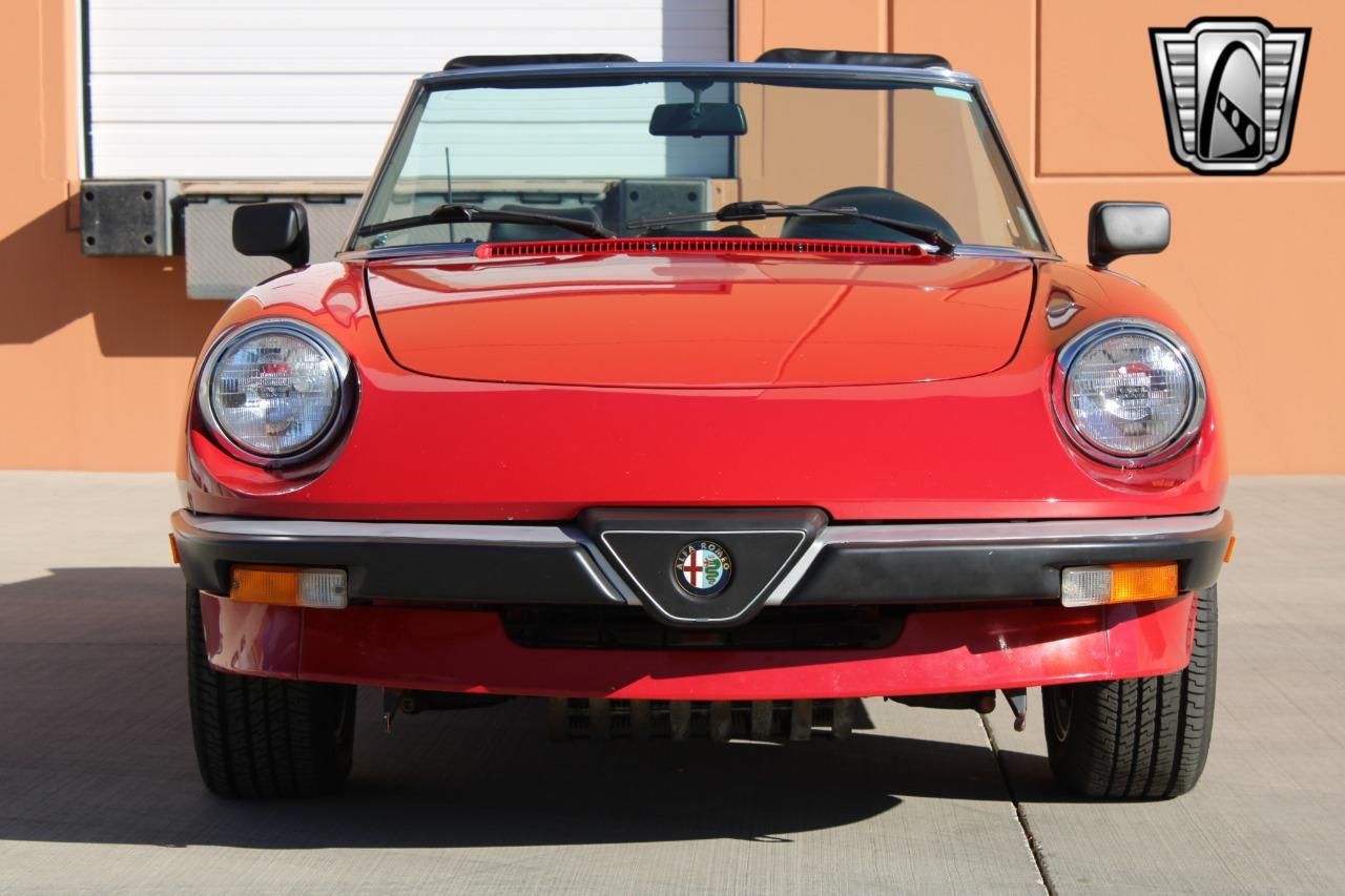 1988 Alfa Romeo Spider