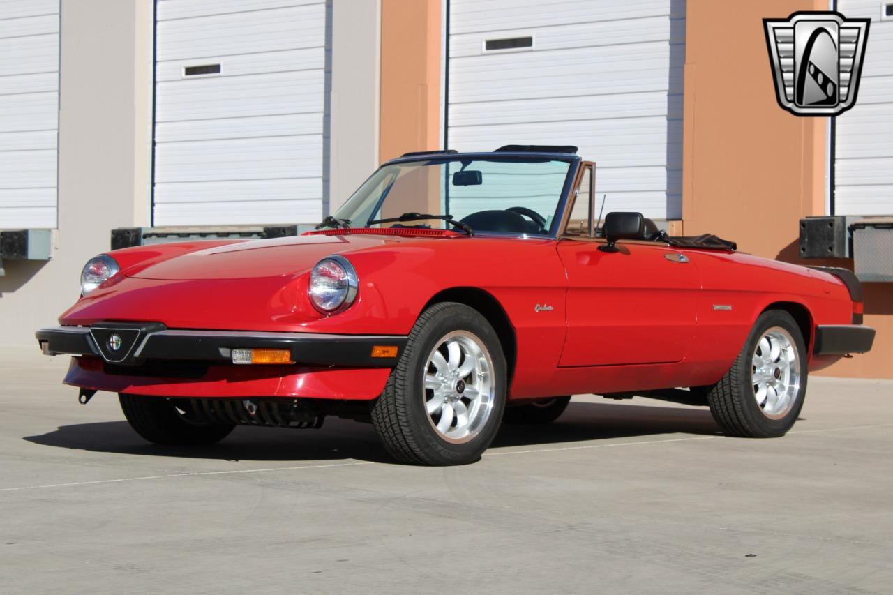 1988 Alfa Romeo Spider