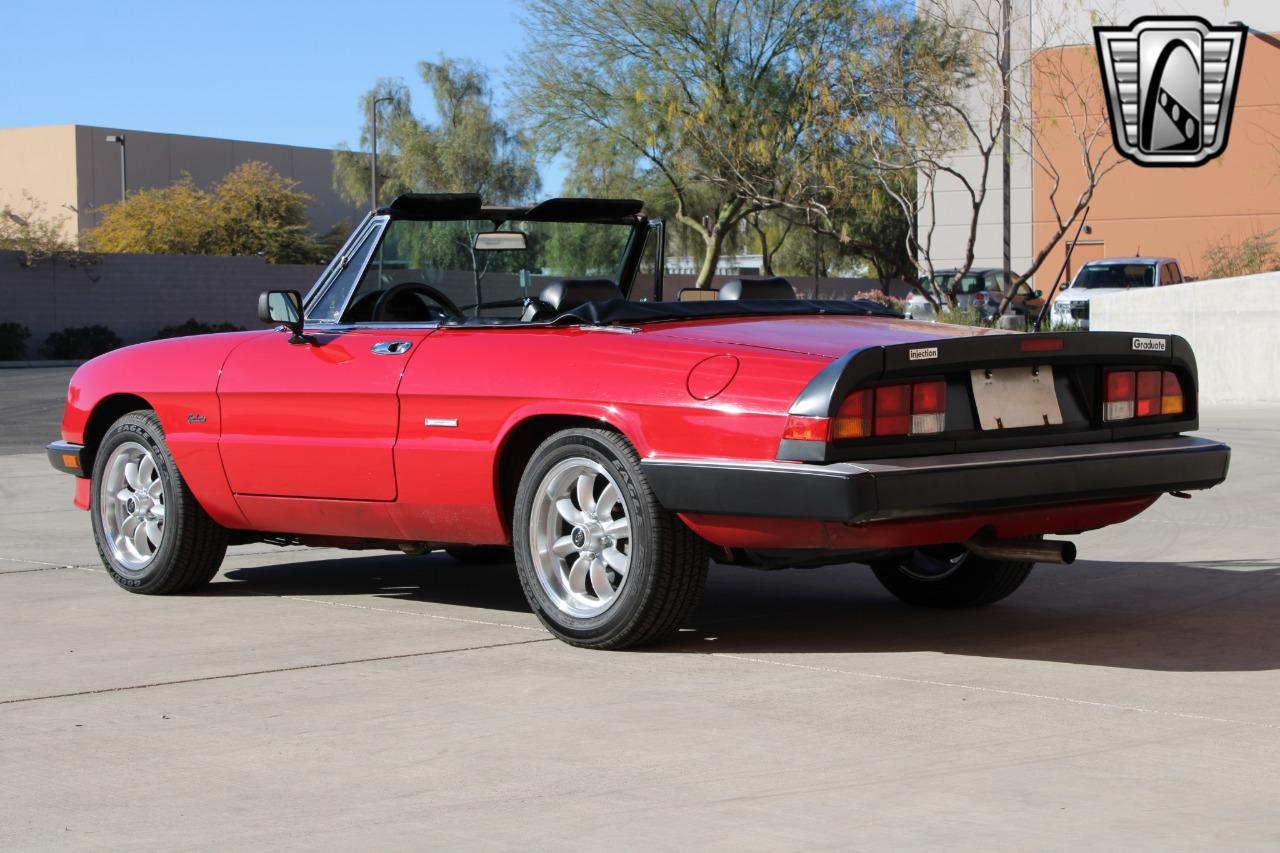 1988 Alfa Romeo Spider