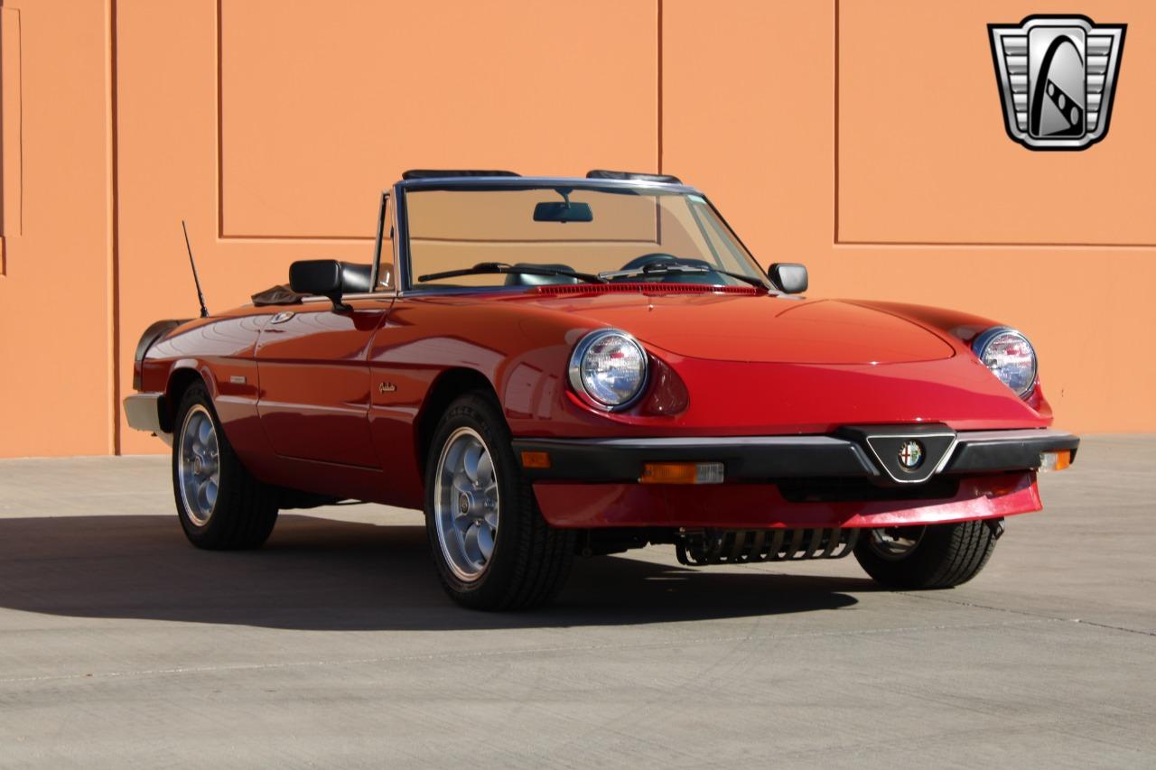 1988 Alfa Romeo Spider