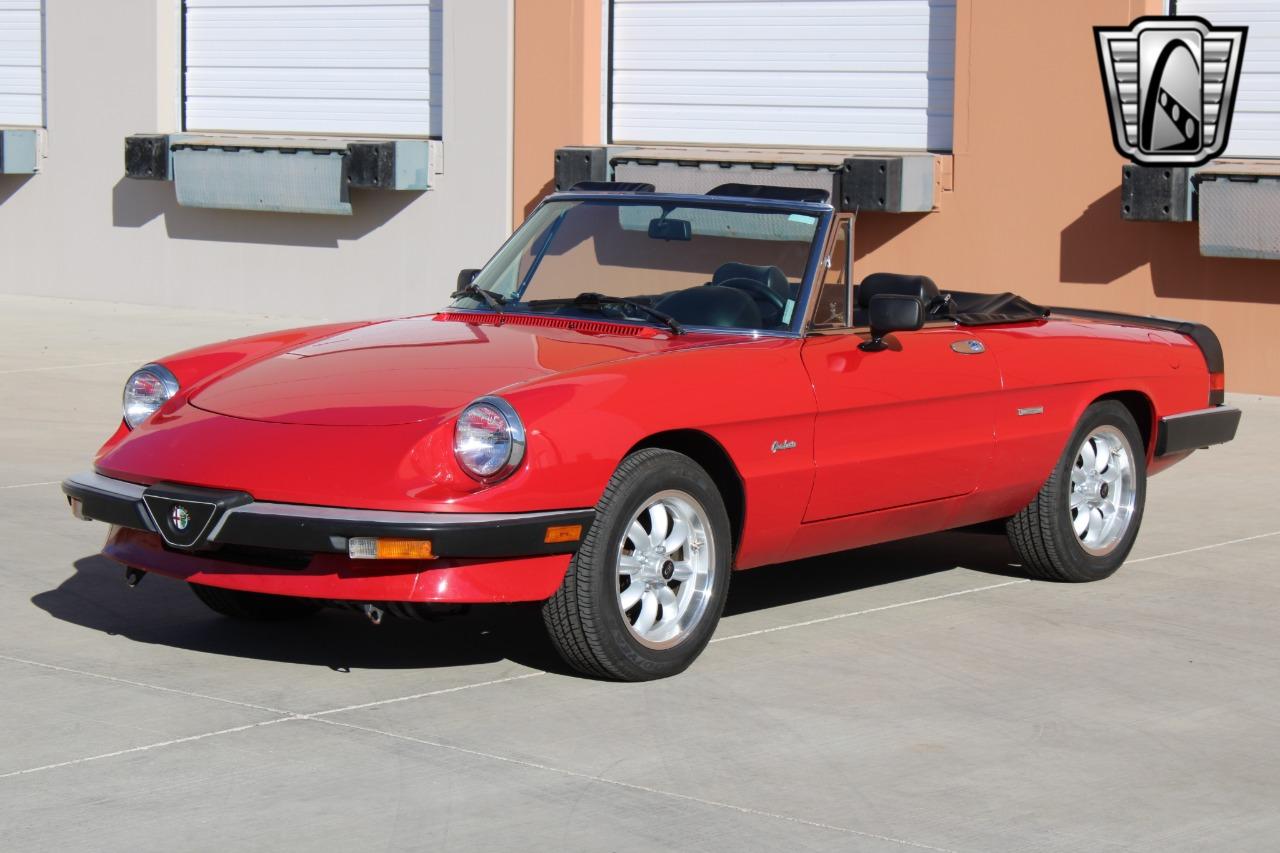 1988 Alfa Romeo Spider