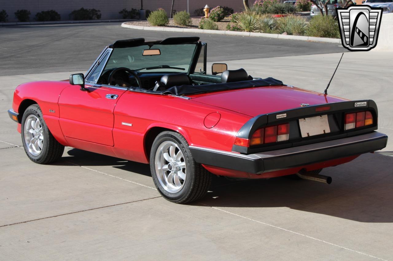 1988 Alfa Romeo Spider