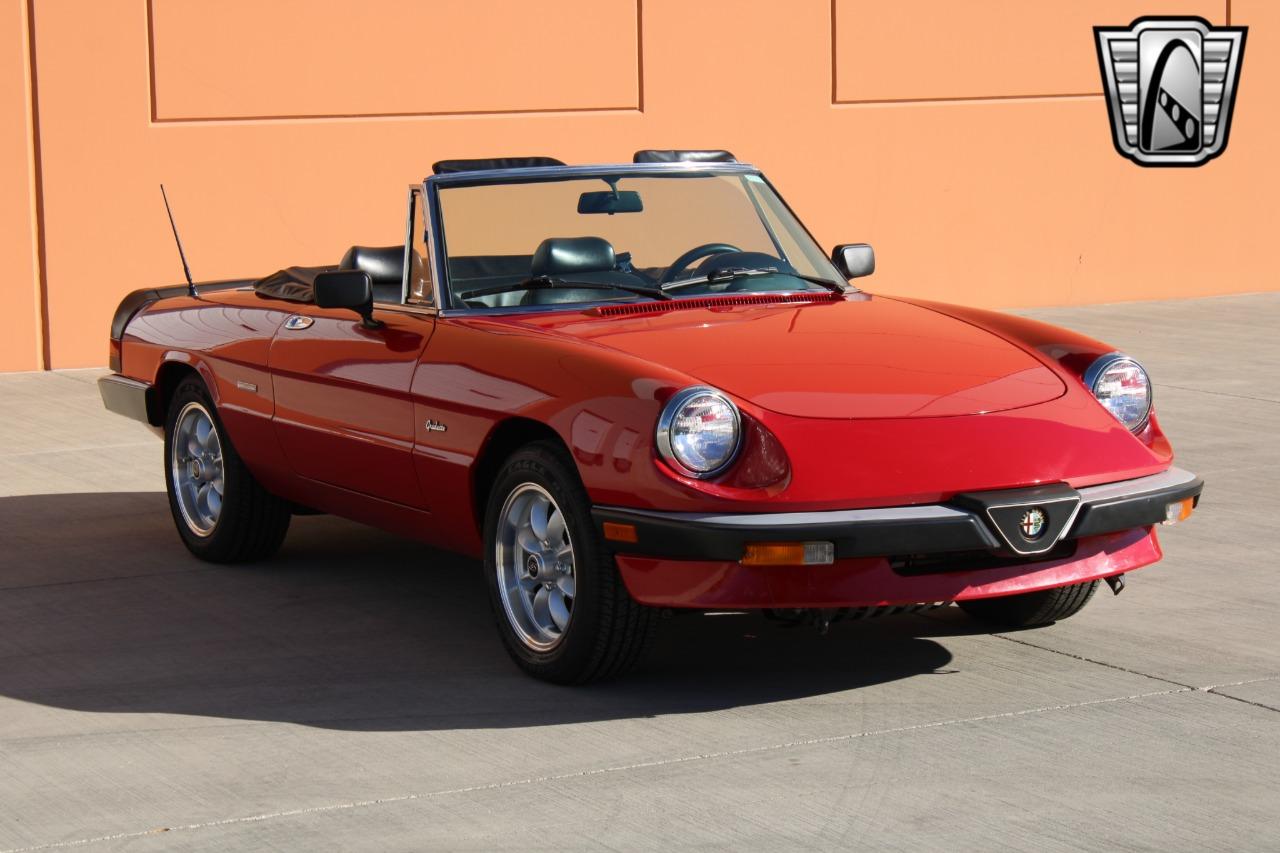 1988 Alfa Romeo Spider