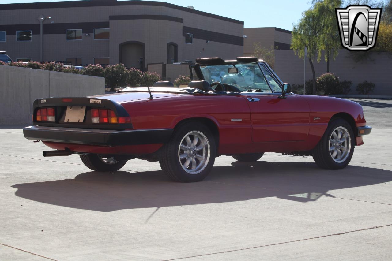 1988 Alfa Romeo Spider