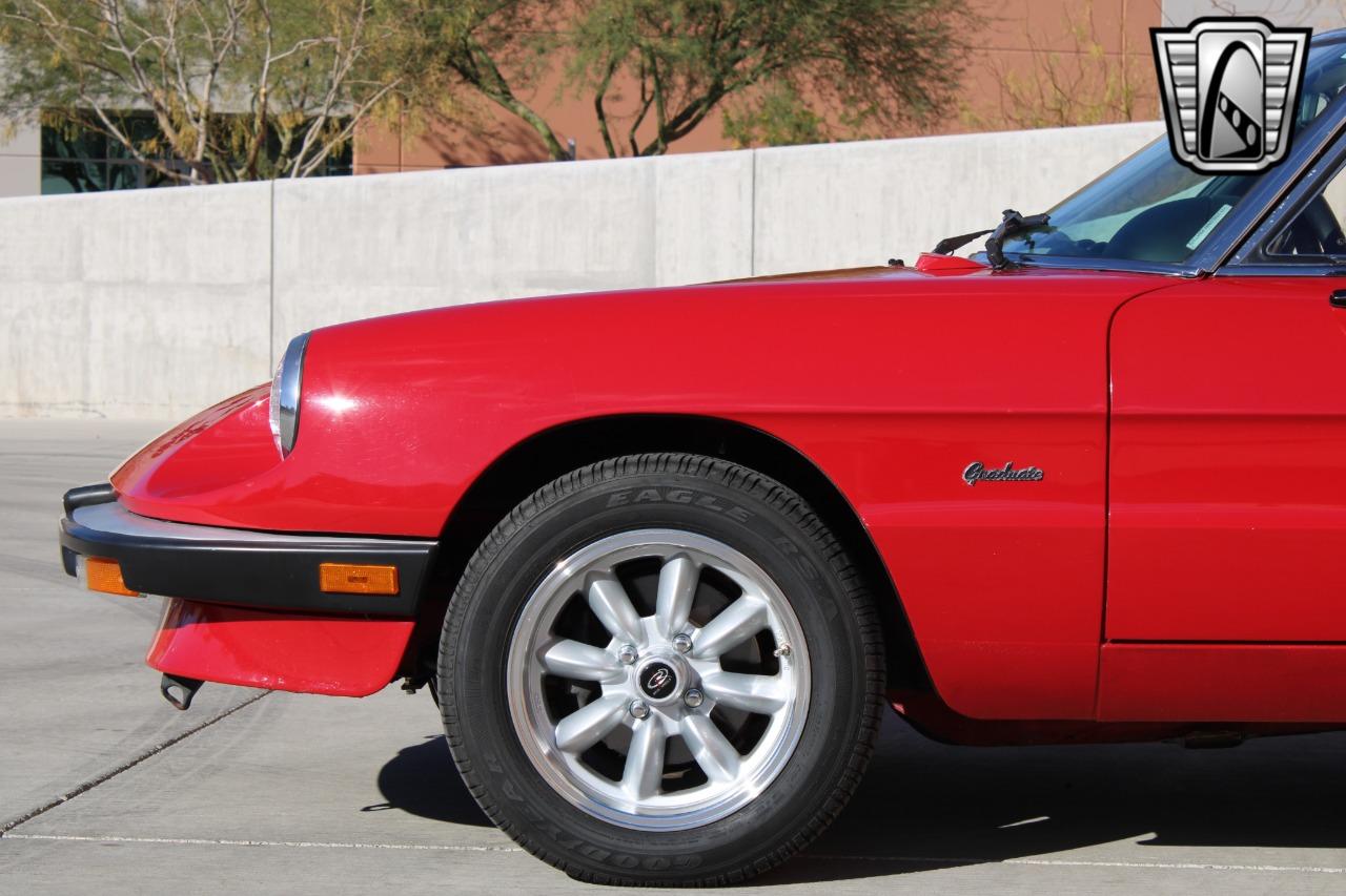 1988 Alfa Romeo Spider