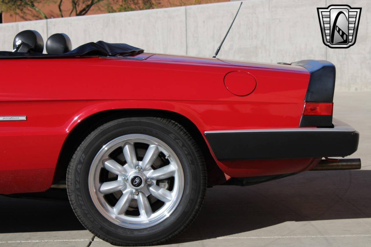 1988 Alfa Romeo Spider