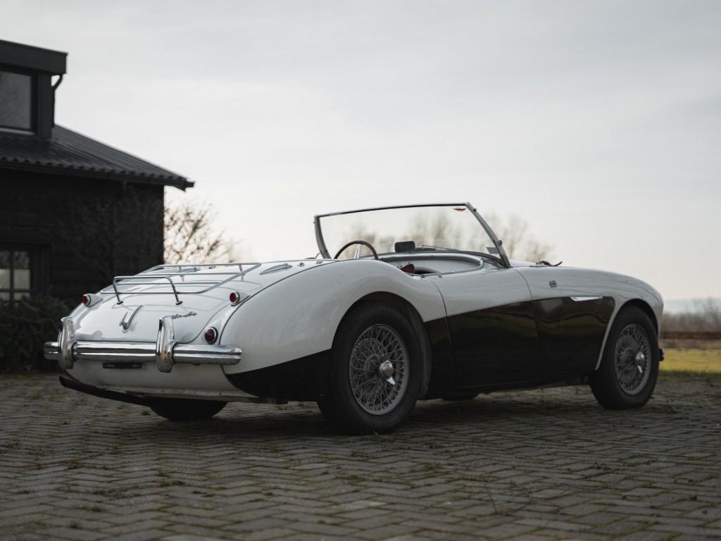 1955 Austin - Healey 100/4