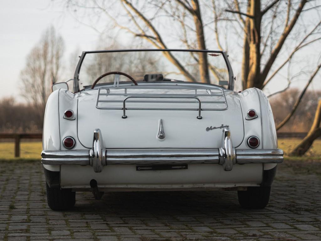 1955 Austin - Healey 100/4