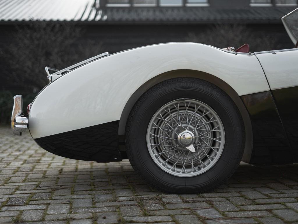 1955 Austin - Healey 100/4