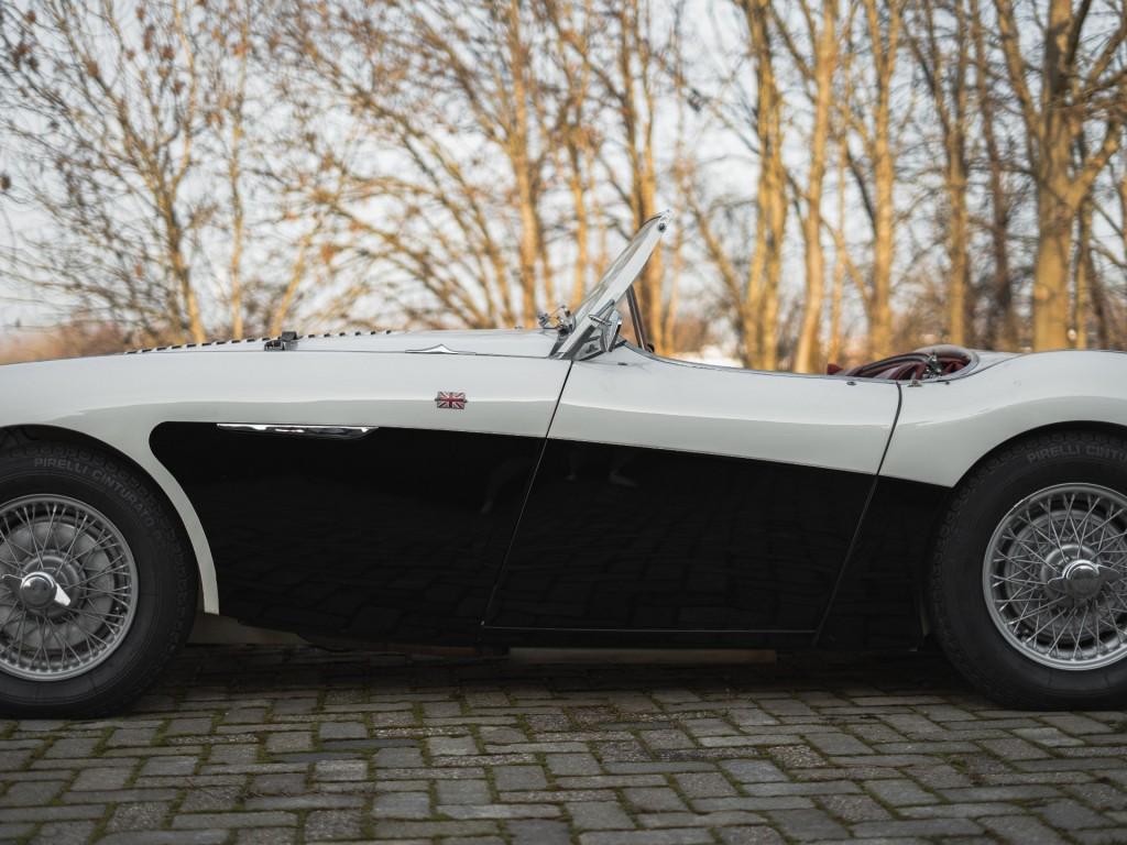 1955 Austin - Healey 100/4