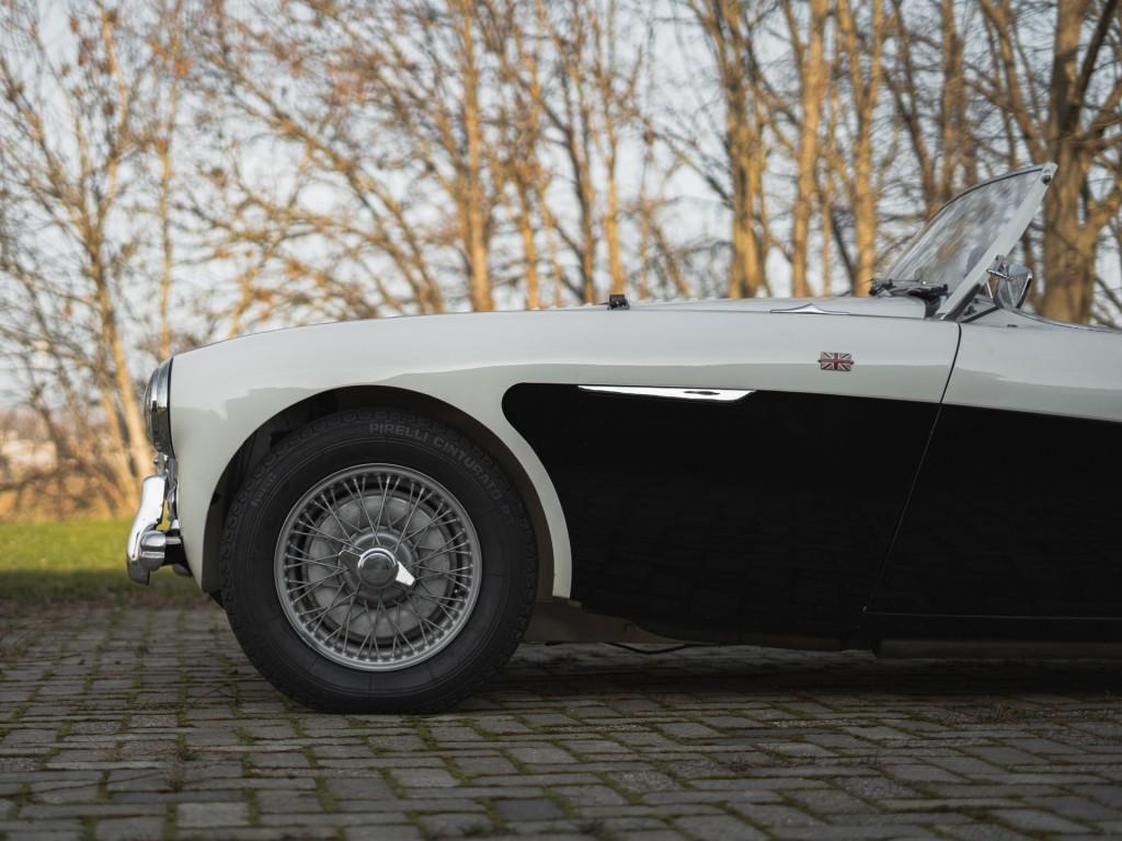 1955 Austin - Healey 100/4